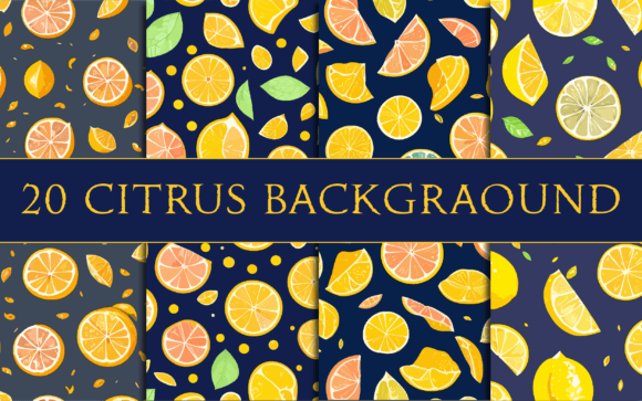 Download 20 Citrus Background Illustrations - Round Collection